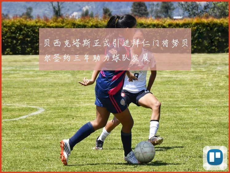 贝西克塔斯正式引进拜仁门将努贝尔签约三年助力球队发展